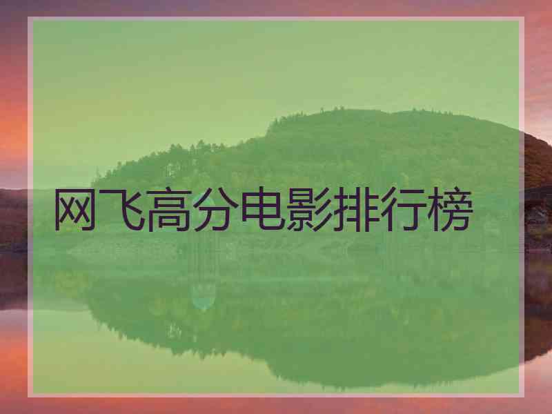 网飞高分电影排行榜