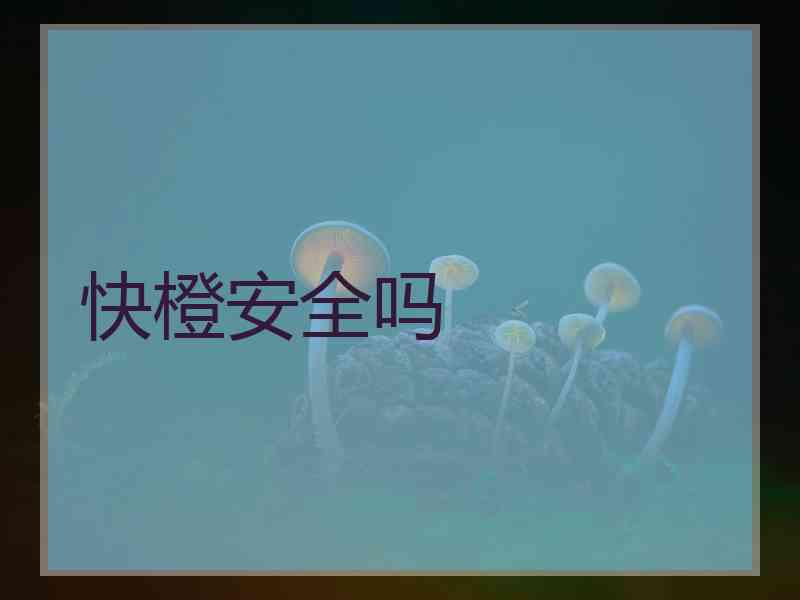 快橙安全吗