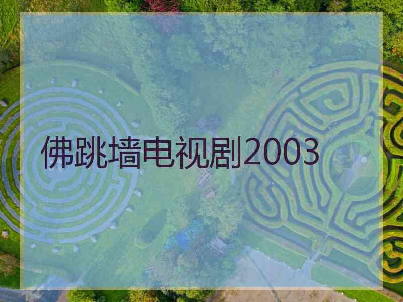 佛跳墙电视剧2003