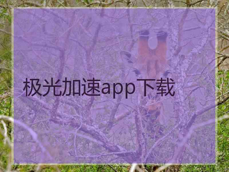 极光加速app下载