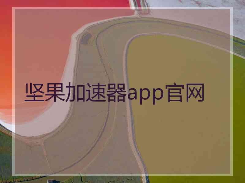 坚果加速器app官网