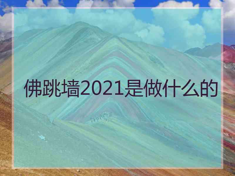 佛跳墙2021是做什么的