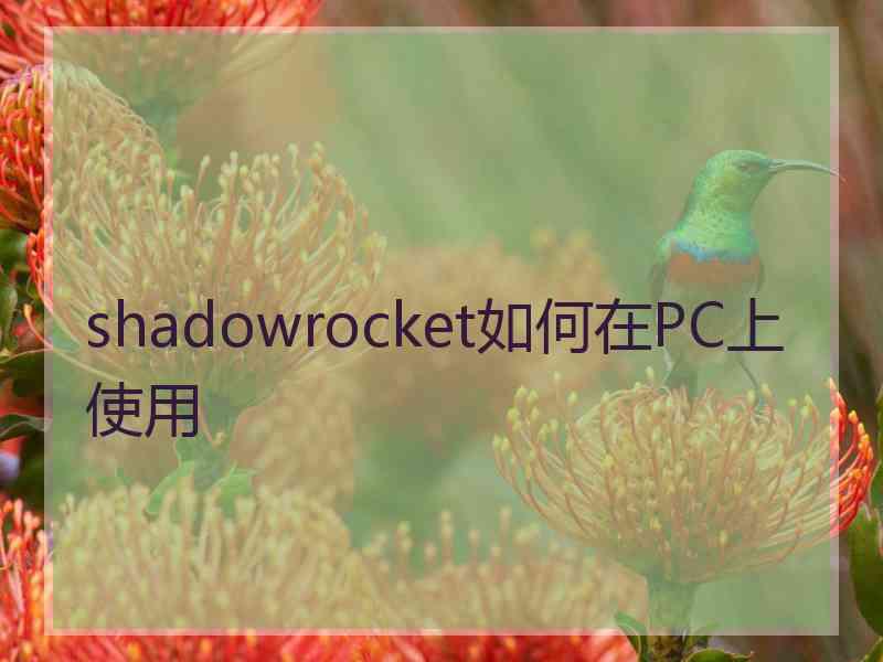 shadowrocket如何在PC上使用