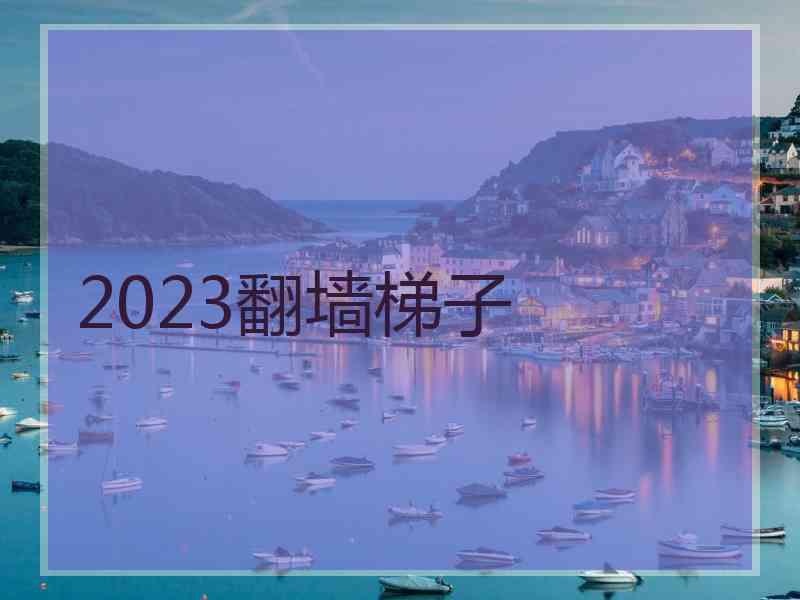 2023翻墙梯子