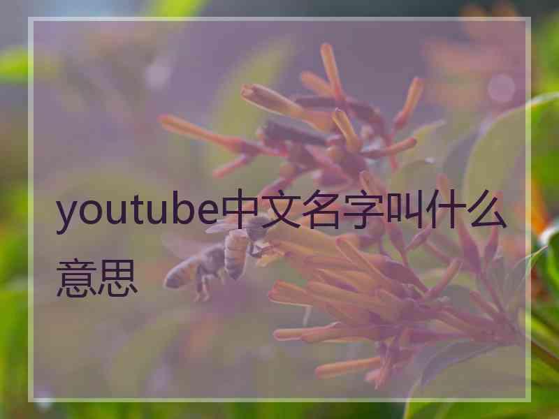 youtube中文名字叫什么意思