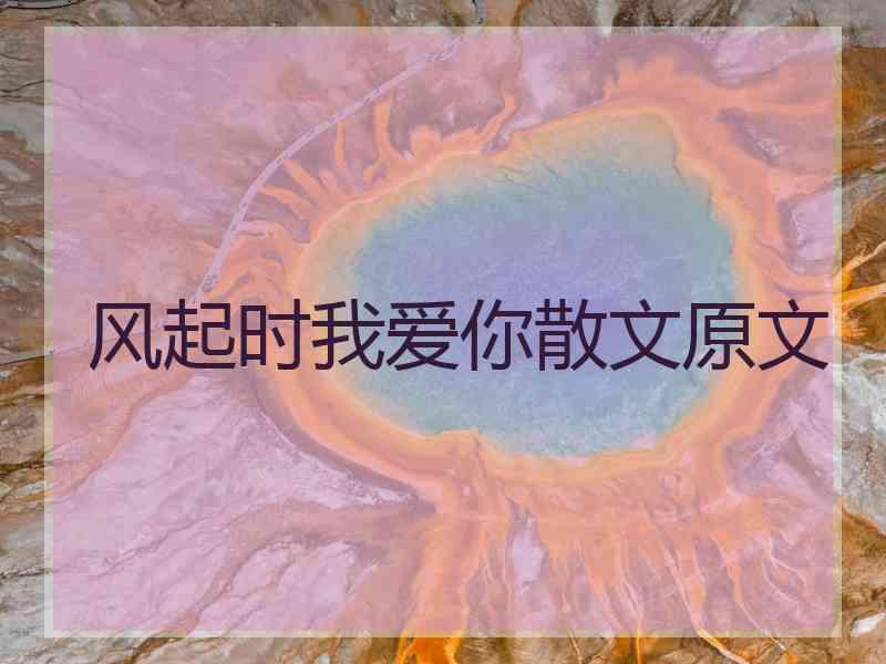 风起时我爱你散文原文