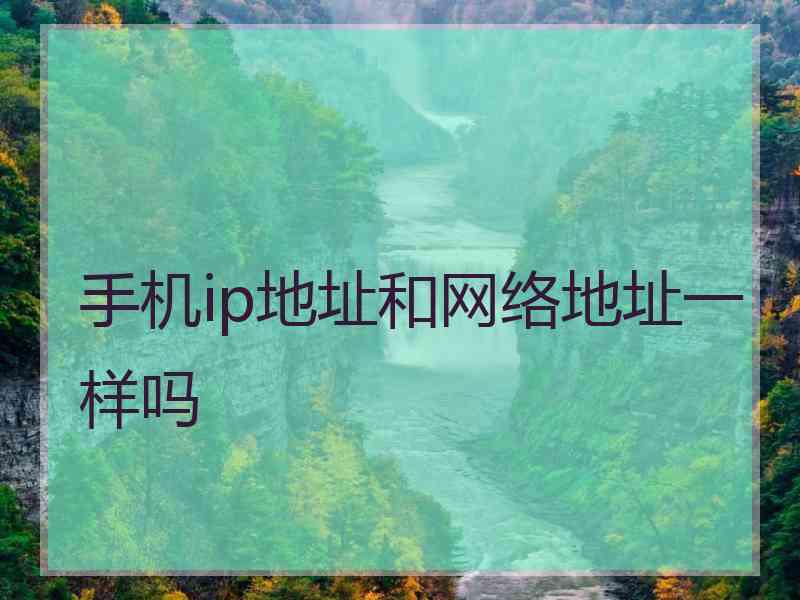 手机ip地址和网络地址一样吗