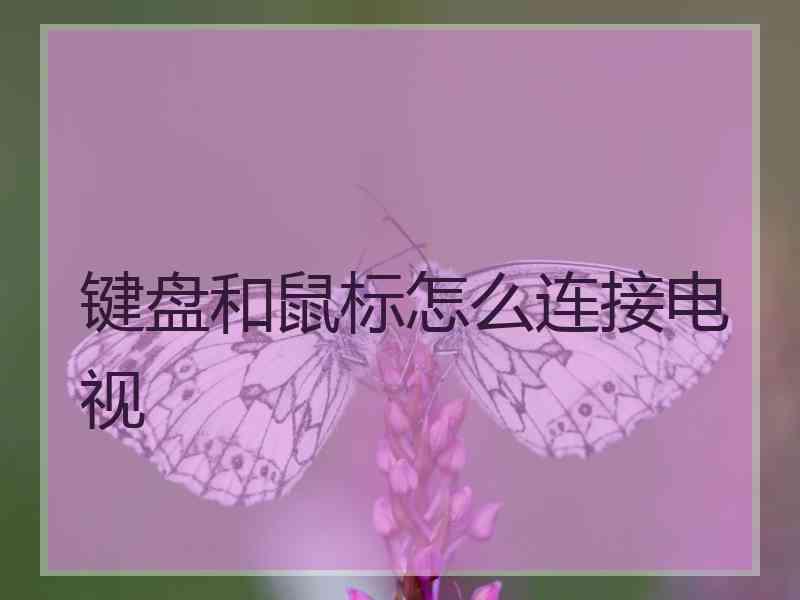 键盘和鼠标怎么连接电视