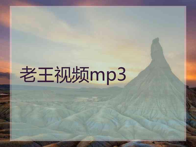 老王视频mp3