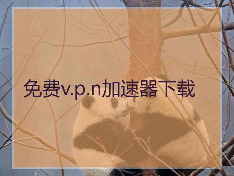 免费v.p.n加速器下载