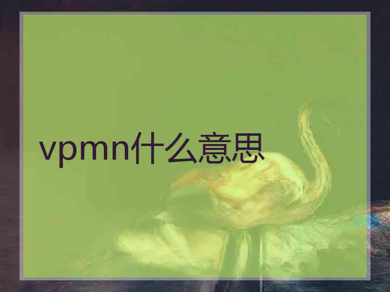 vpmn什么意思