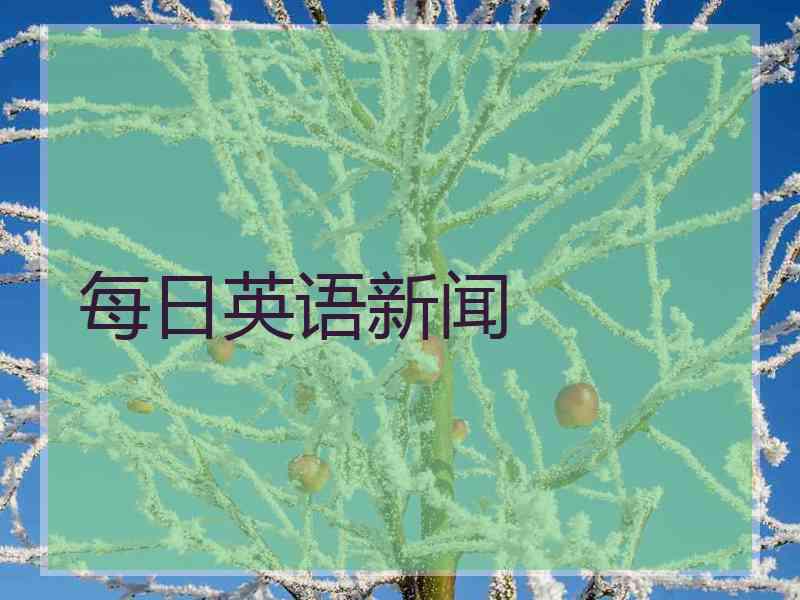 每日英语新闻