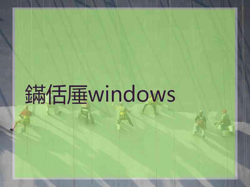 鏋佸厜windows