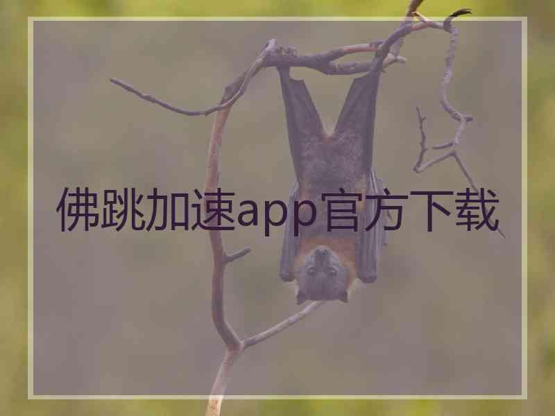 佛跳加速app官方下载