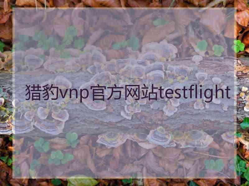 猎豹vnp官方网站testflight