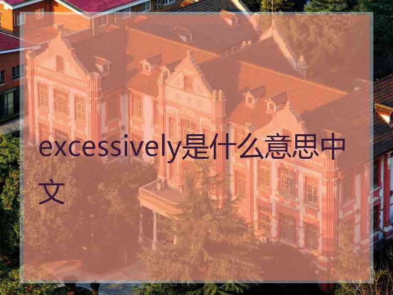 excessively是什么意思中文