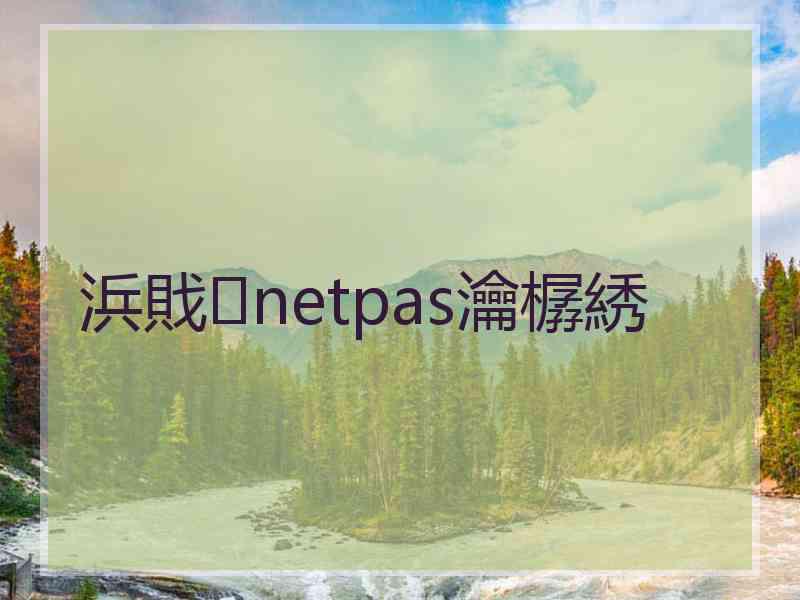 浜戝netpas瀹樼綉