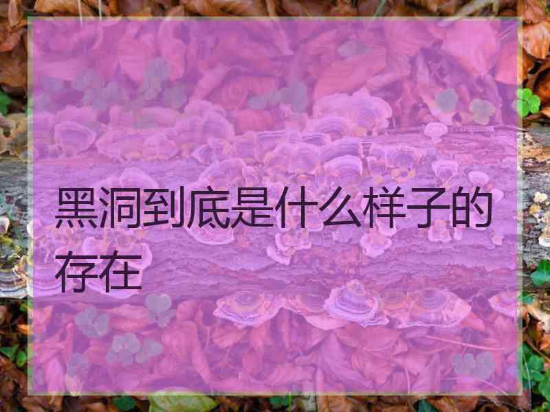 黑洞到底是什么样子的存在