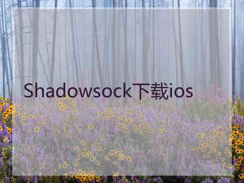 Shadowsock下载ios