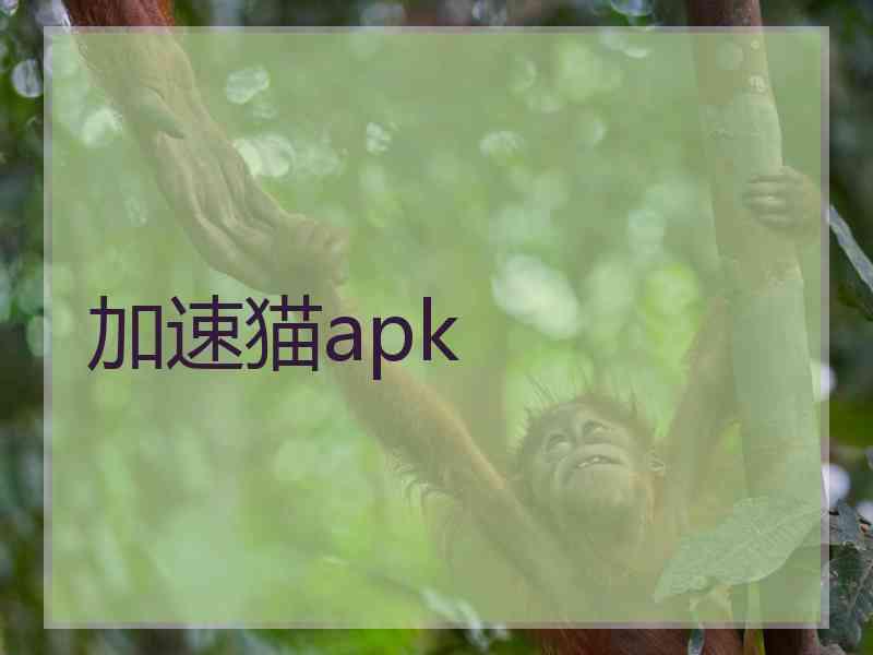 加速猫apk