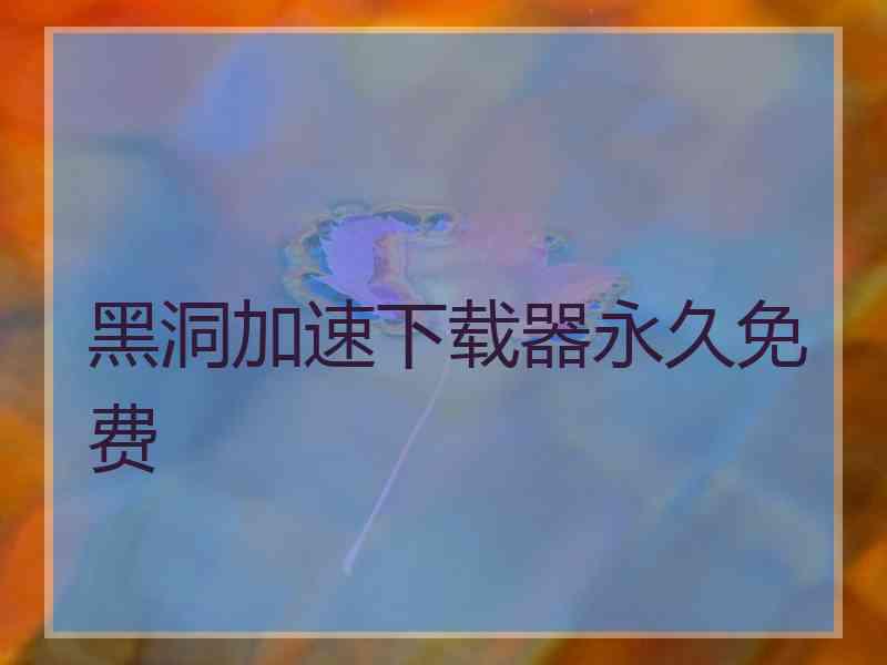 黑洞加速下载器永久免费