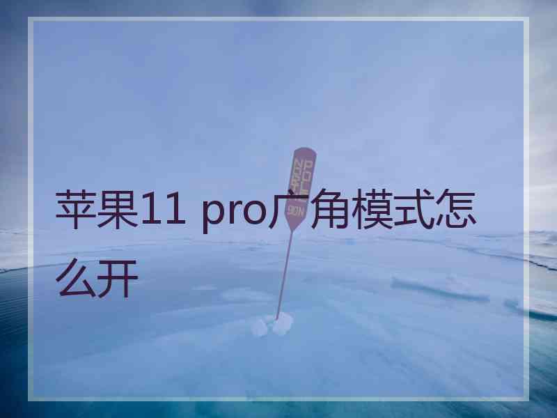 苹果11 pro广角模式怎么开