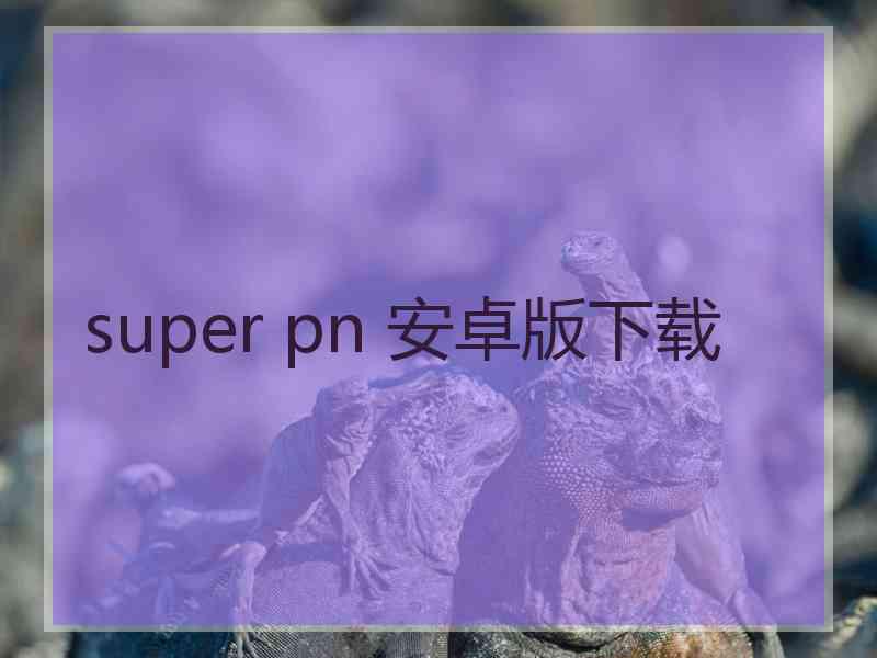 super pn 安卓版下载