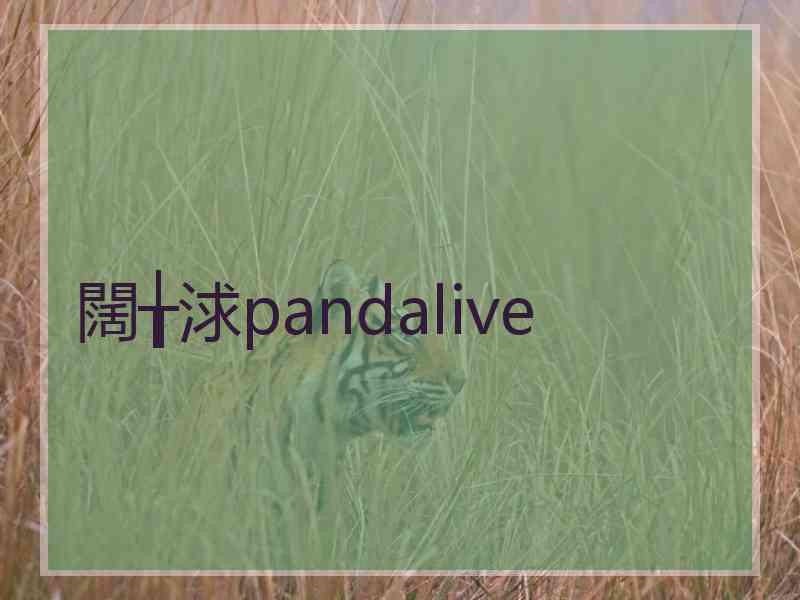 闊╁浗pandalive