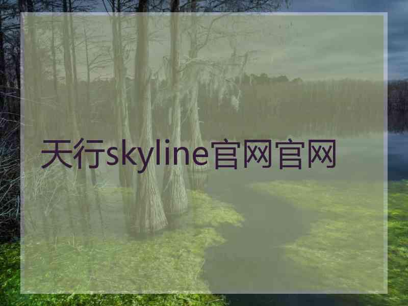 天行skyline官网官网