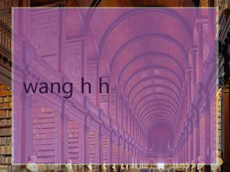 wang h h