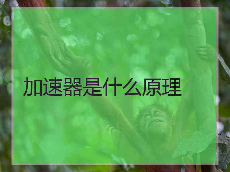 加速器是什么原理