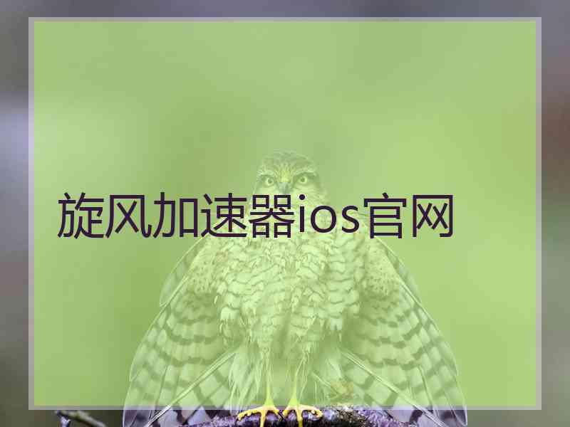 旋风加速器ios官网