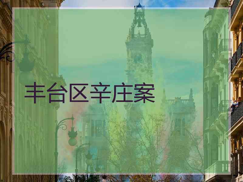 丰台区辛庄案