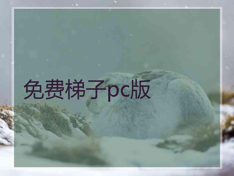 免费梯子pc版