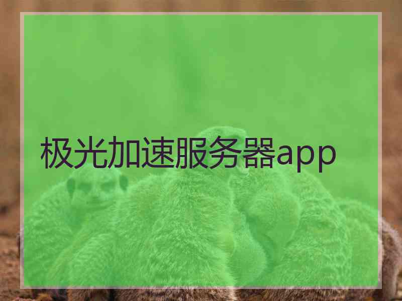 极光加速服务器app