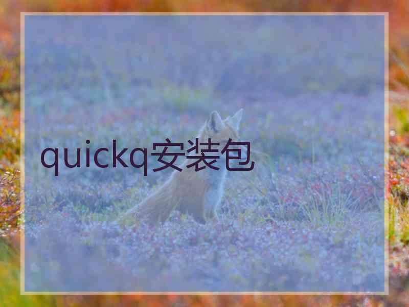 quickq安装包