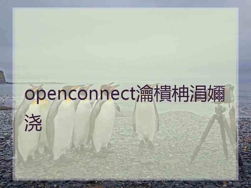 openconnect瀹樻柟涓嬭浇