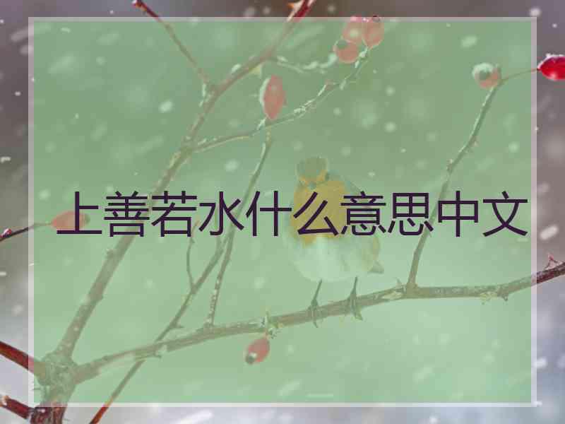 上善若水什么意思中文