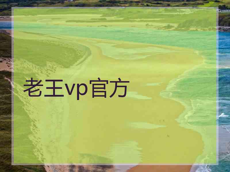 老王vp官方