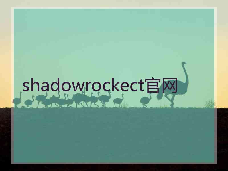 shadowrockect官网