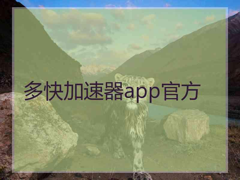 多快加速器app官方