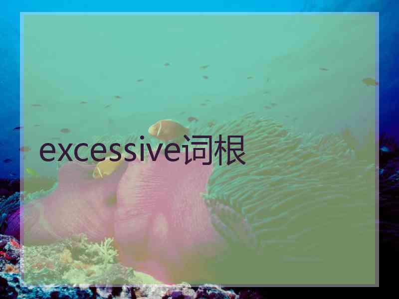 excessive词根