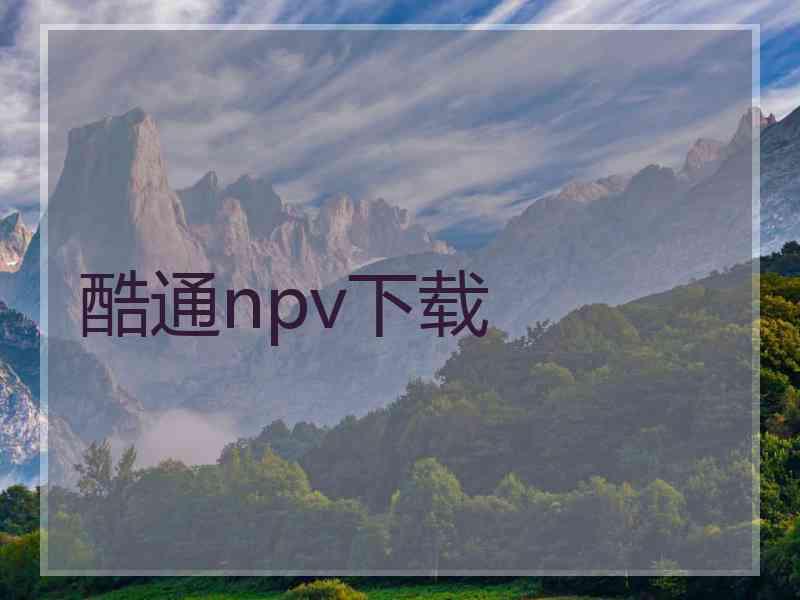 酷通npv下载