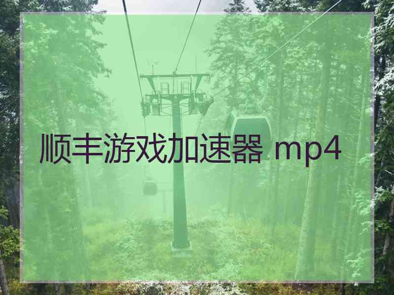 顺丰游戏加速器 mp4