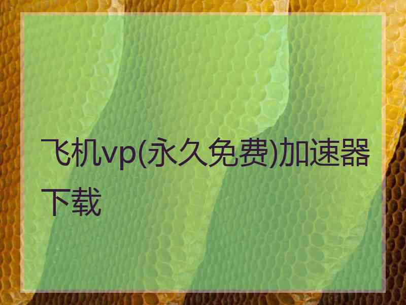 飞机vp(永久免费)加速器下载