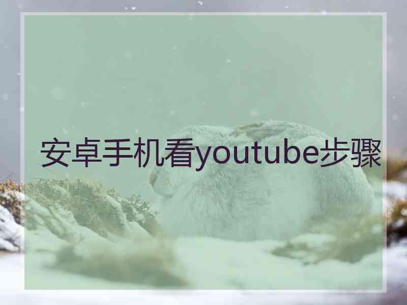 安卓手机看youtube步骤