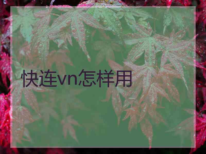 快连vn怎样用