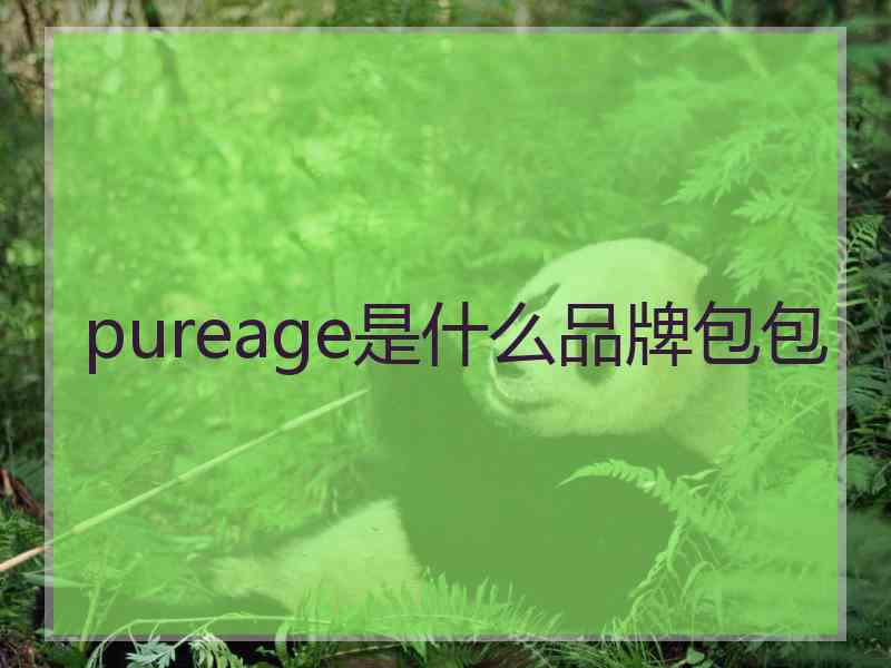 pureage是什么品牌包包