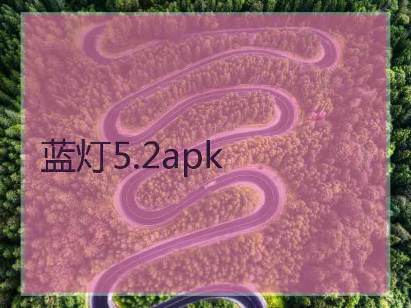 蓝灯5.2apk