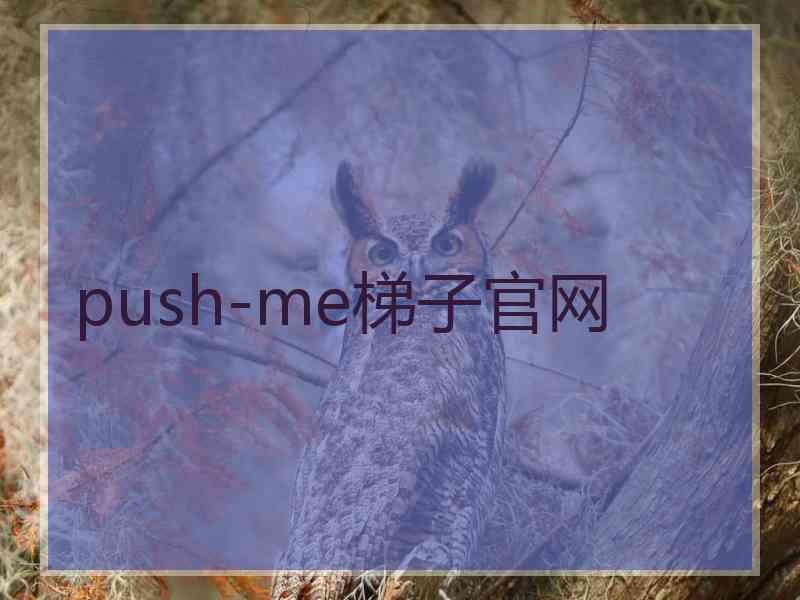 push-me梯子官网